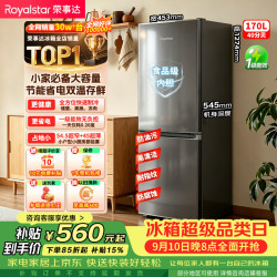 荣事达 R170 节能低音 灰色 170L 双门冰箱