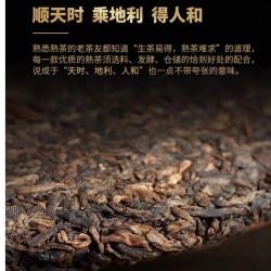 普洱茶云南西双版勐海熟茶