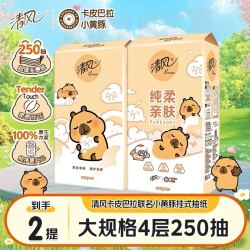 清风 联名悬挂式抽纸4层加厚250抽家用卫生纸可爱挂抽