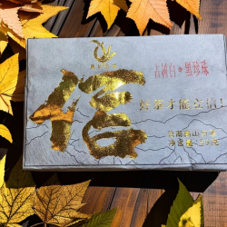 2024古树白茶黑珍珠/2024月光美人（白茶小方砖）