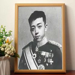 初奥 宇将军肖像画都多余了爱谁谁搞笑挂画开国功臣名人装饰画相框摆台