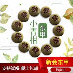 东甲圈枝头采生晒新会传统小青柑金芽普洱茶新会小青柑