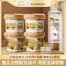 EVERSHINE 晚香玉5D洗衣凝珠持久留香D