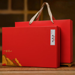 铁观音茶叶 浓香型新茶 中秋年货节日礼品福利茶可定制