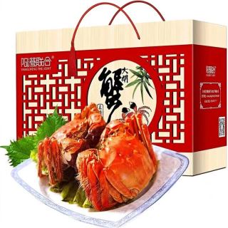 阳澄联合 鲜活大闸蟹现货全母2.5-2.8两 10只礼盒