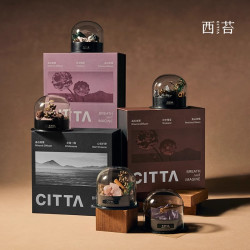 CITTA/西苔旷野秘境扩香石香薰礼盒生日礼物送朋友室内家用持久