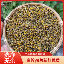 秦岭小菊花家用新鲜菊花可泡茶枕头250g100g手工挑选优质菊花茶