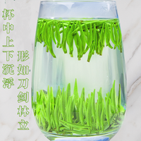2026新茶头彩雀舌/翠芽味浓T1款100g/250g/500g春茶绿茶