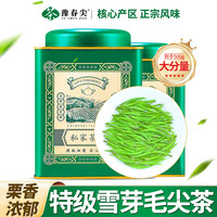 豫春 尖2026正宗信阳毛尖新茶浓香型口粮茶手工毛尖绿茶浓茶茶叶