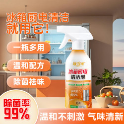 冰箱家电清新祛味清洁剂厨房微波炉烤箱强效清洁剂H1