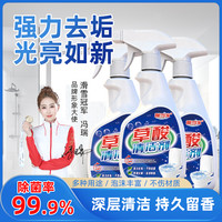 草酸清洁剂厕所瓷砖强力去污洗水泥地板马桶神器外墙除垢高浓度L1