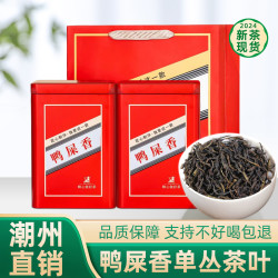 潮州鸭屎香清香型单枞茶乌龙茶单丛清香型500g