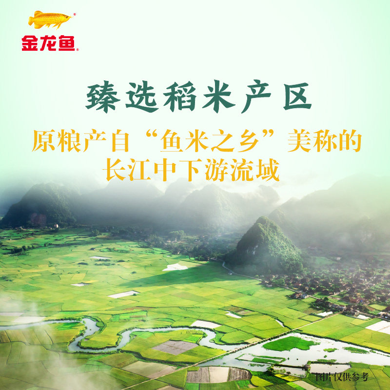 金龙鱼 臻选丝苗米 籼米 5kg