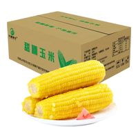 开源保丰 东北黄糯玉米 真空装 220g*10支