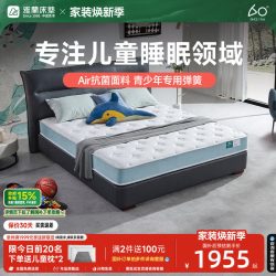雅兰 宠爱 弹簧乳胶床垫