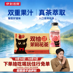 伊利 伊刻活泉双柚茉莉花茶 500ml*15瓶