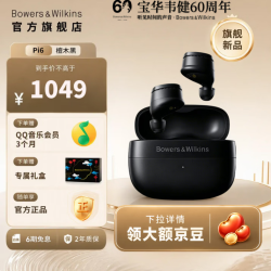宝华韦健 Pi6 入耳式真无线主动降噪蓝牙耳机 檀木黑