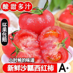 沙瓤爆汁西红柿新鲜自然熟农家自种高山现摘酸甜生吃老品种番茄