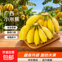 京东 广西小米蕉当季新鲜应季水果日日鲜香甜小香蕉芭蕉孕妇水果整箱 带箱2斤 酸甜口的小香蕉