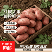 河北 红皮大土豆 9斤净重 单果150g+