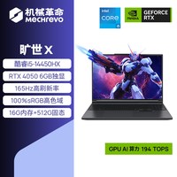 移动端：机械革命 RTX5060 笔记本电脑