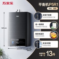 移动端：万家乐 平衡式燃气热水器P5R1天然气液化气浴室可装即热恒温强排