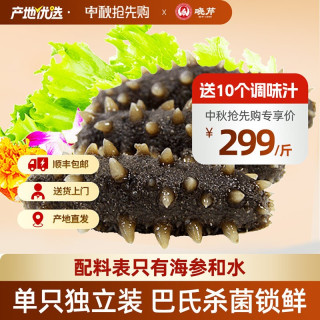 移动端、88VIP：晓芹 即食海参 16-20头 500g