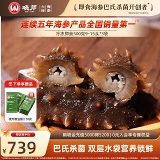 移动端：晓芹 大连晓芹即食海参500g*3袋辽刺参27-45只 1500g非礼盒