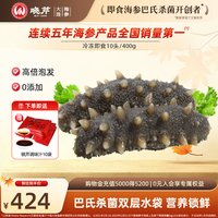 移动端、88VIP：晓芹 海参 大连晓芹即食海参 冷冻即食海参 400克 10只 即食海参
