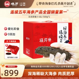 移动端、88VIP：晓芹 即食海参500克/3-6头2斤装大连海参王辽刺参特价