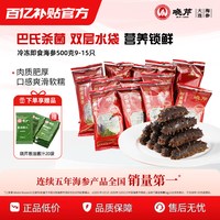 移动端、88VIP：晓芹 即食海参500克冷冻海参9-15只大连刺参 送调味汁