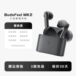 弱水时砂 BudsFeel Mk2 半入耳式降噪 无线蓝牙耳机