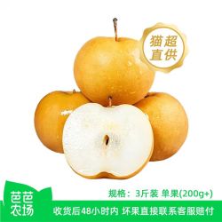山东秋月梨 净重3斤 单果200g+