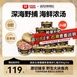 顽皮 经典全价主食猫罐 吞拿鱼牛肉配方 85g*24罐