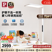 Paulmann P德国柏曼立式护眼灯 LED全光谱骑士大路灯儿童学习读写护眼台灯 新骑士I 8㎡-12㎡ 4000K 紫光护眼