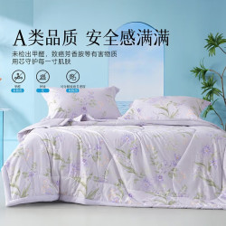 水星家纺 集团出品  百丽丝大豆纤维夏凉被 A类抗菌空调被子 可水洗薄被芯 [A类大豆云感夏被+可机洗] -紫 150cm*200cm