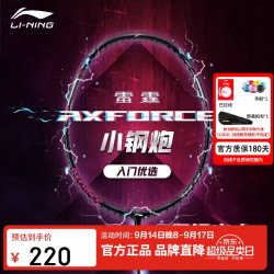 李宁 羽毛球拍雷霆小钢炮穿线单拍进攻型入门拍5U穿线AYPT307 黑色 5U  穿线