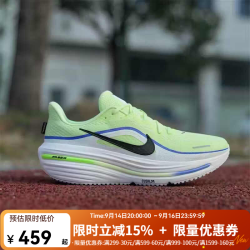 NIKE AIR WINFLO 12 男子跑步鞋 HV9272-700 42码