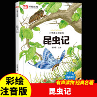 世界经典名著彩绘注音版一二三年级课外阅读必读儿童书籍7-10岁小学生注音拼音读物彩图有声课外丛书 昆虫记