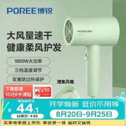 飞科 POREE/博锐 PH1628 电吹风 家用大功率 恒温吹风筒 负离子 大风力 绿色
