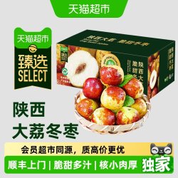 末浅 猫超臻选末浅正宗陕西大荔冬枣新鲜应季水果脆甜大枣子产地直发