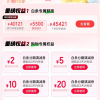 京东 白条分期购权益包 领满399-2/899-5/2000-10/4000-20元白条分期立减券等