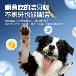 爱乐纯 狗狗磨牙棒洁牙棒洁齿清洁牙齿清新口气 25g