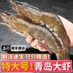 虾有虾途 大虾鲜活速冻基围虾冷冻海虾青岛大虾2030盐冻无冰海鲜18-20厘米