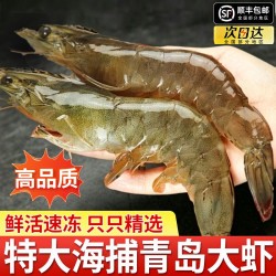 虾有虾途 当季新捕青岛大虾21-19厘米鲜活速冻2030基围虾南美白对虾
