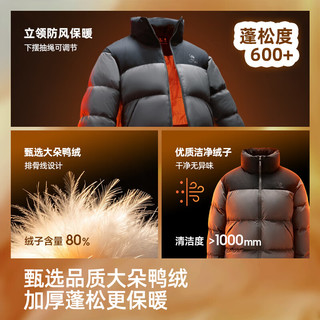 骆驼 C36CAY6098C 加厚保暖立领羽绒服 幻影黑 S