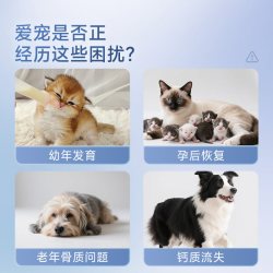 PAVISH帕维诗液体乳钙胶囊补钙幼犬立耳佑猫营养喂食猫用犬用90粒