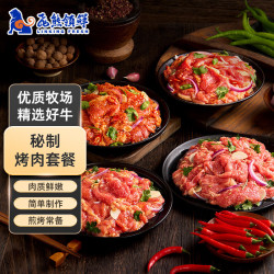 飞熊领鲜 传统牛肉拌肉 净2斤 250g*4袋 4种口味