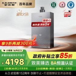 A.O.SMITH JSQ31-EC5 静音恒温 16L 天然气 燃气热水器