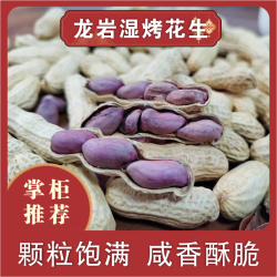 龙岩湿烤花生精选红衣花生带壳闽西烘干咸香酥脆营养美味